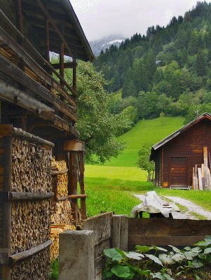 WOODPILE & BEYOND