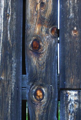 KNOTS IN TIMBER