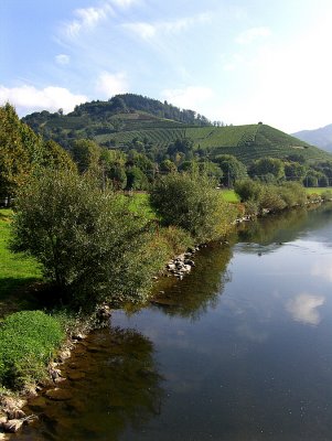 RIVER KINZIG & VINEYARD HILLS