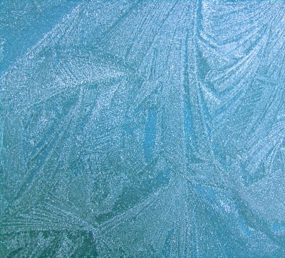 FROST ON CAR ROOF . 1