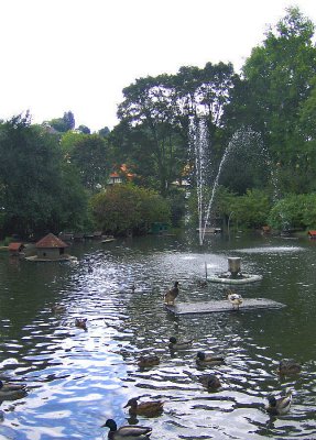 DUCK POND