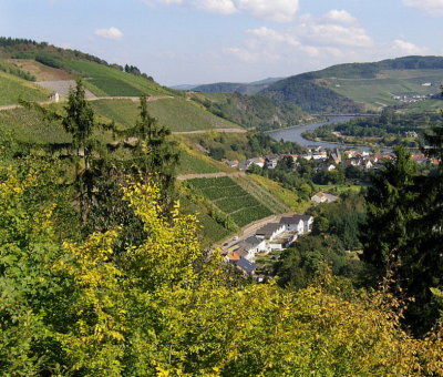 VINEYARDS & RIVER SAAR