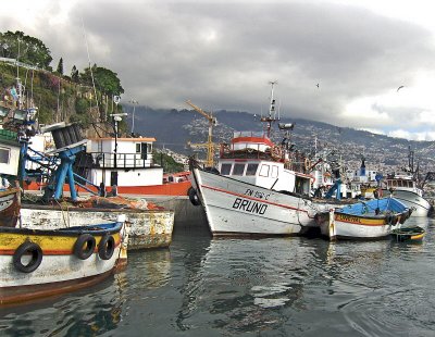 FISHING BOATS