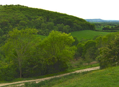 VIEW ACROSS TO THE DEVIL'S DYKE HILL