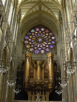 MAIN ORGAN & ROSE WINDOW