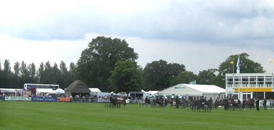 THE MAIN SHOW RING