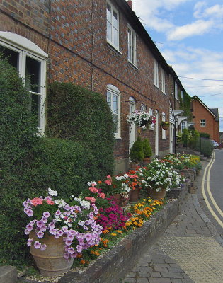 CHARLTON STREET FLOWERS