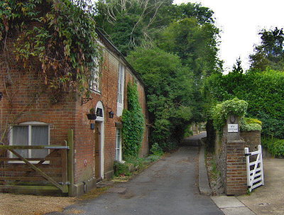 DOG LANE