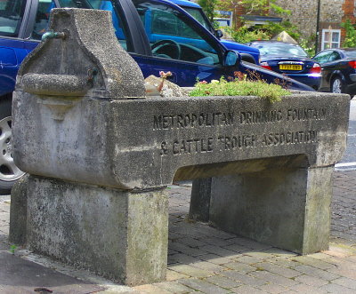OLD TROUGH