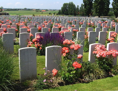 GRAVES  AMONG BEAUTIFUL ROSES