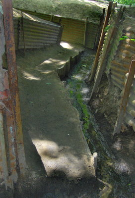 g1/21/714621/3/115254426.gSyLyZSc.jpg