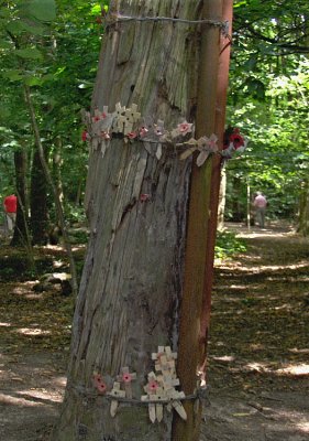 ORIGINAL TREE STUMP