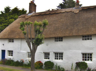 THATCHED COTTAGE
