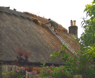 ROOF THATCHING