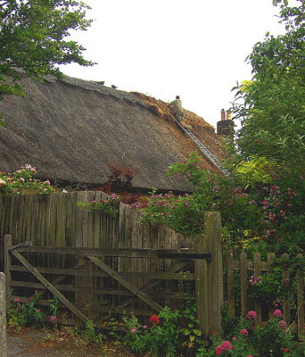 ROOF THATCHING . 1