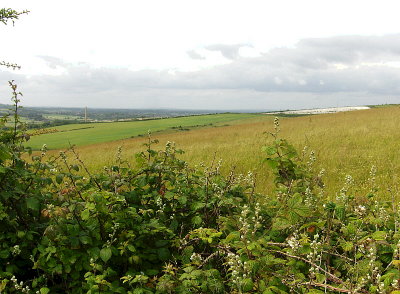 VIEW TOWARDS DISUSED QUARRY