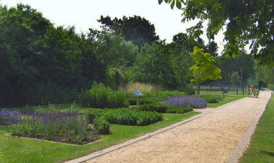 HERB GARDEN