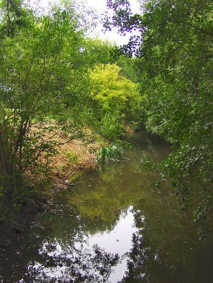 THE RIVER ARUN