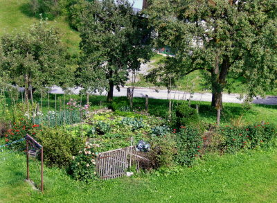 THE VEGETABLE PATCH