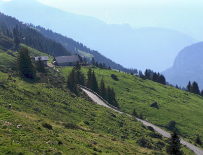 NARROW ROAD THROUGH  HILL FARMS