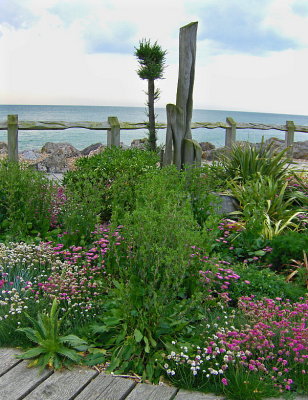 WATERWISE BEACH GARDEN . 2