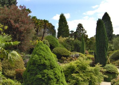 ROCKERY GARDEN . 2