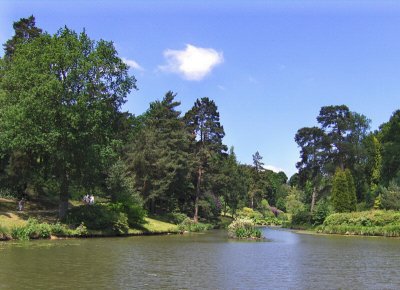 WATERFALL LAKE VIEW