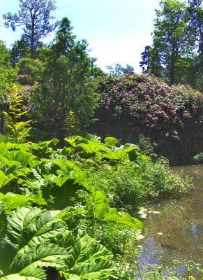 CLAPPER BRIDGE LAKE . 1