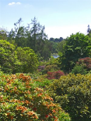 VIEW THROUGH TO A LAKE