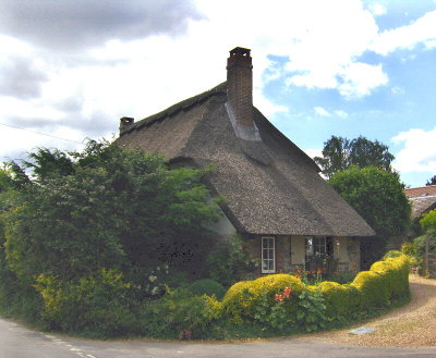 MODERN THATCHED COTTAGE