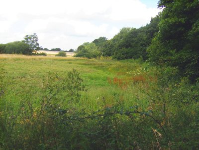 MEADOW BEHIND THE CHURCH