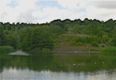 VIEW OF THE ADVENTURE PLAYGROUND