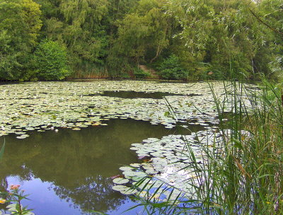 LENNOXWOOD LAKE