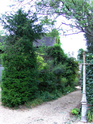 PATHWAY TO THE ALLOTMENTS