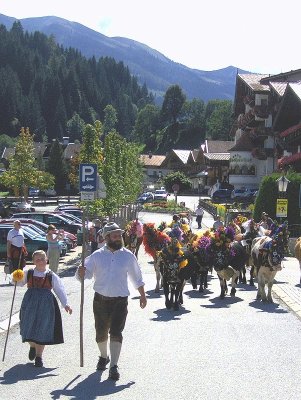 CATTLE PARADE