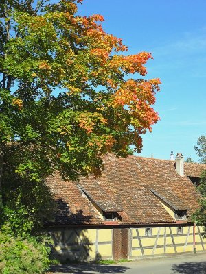 CITY WALL BUILDINGS