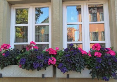 COLOURFUL WINDOW BOXES