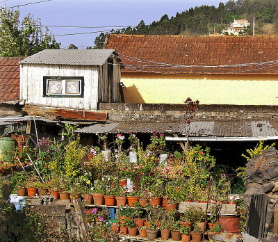 POTTING YARD