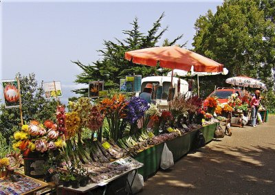FLOWER STALLS AT THE VIEWPOINT