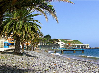 PALM-LINED SEAFRONT