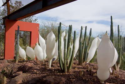 chihuly_at_desert_botanical_garden