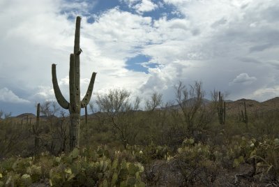 az_clouds