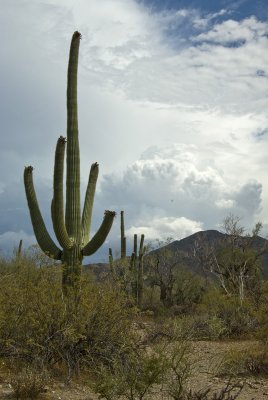 AZ Clouds-2.jpg