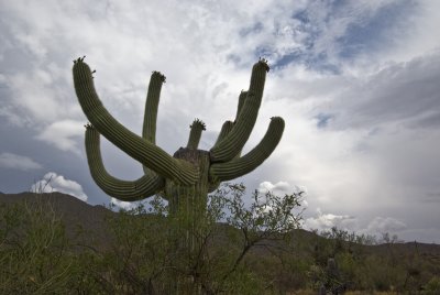 az_clouds