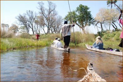 From the mokoro station the locals took us for a two hour visit through the canals until our camp.