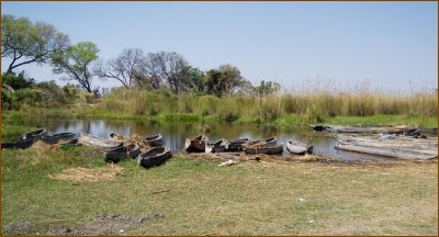 Our fith day we went to the Okavango Delta. This is the mokoro (wooden canue) station where we had lunch.
