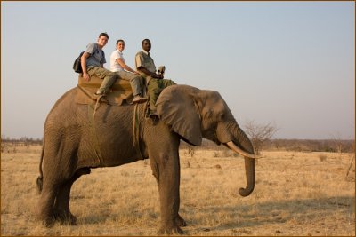 Francis, our guide and me ridding Jack. He was 31 years old and was the oldest elephant of the safari.