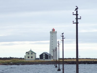 Birds on 3 poles