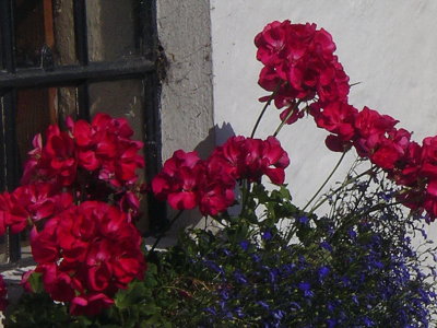g1/21/754821/3/113169161.Fa1WdL7M.jpg