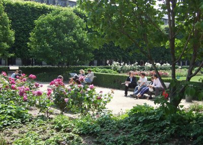 Jardin du Palais Royal I